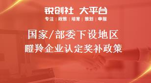 國(guó)家/部委下設(shè)地區(qū)瞪羚企業(yè)認(rèn)定獎(jiǎng)補(bǔ)政策